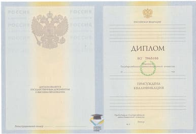 Диплом ВФ ИУ 2010-2011 годов